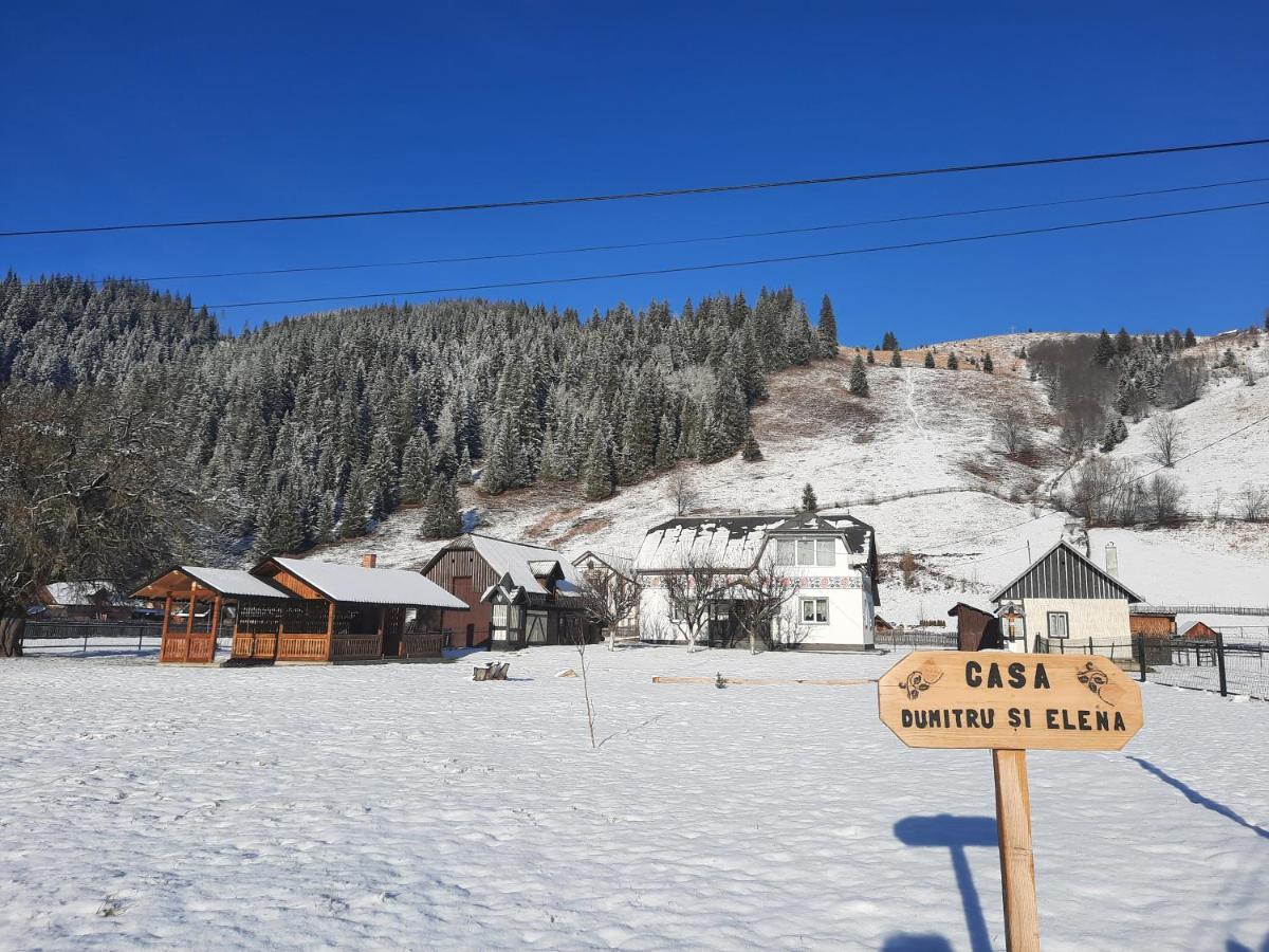 Casa Dumitru Si Elena Ciocanesti Bucovina Exterior foto