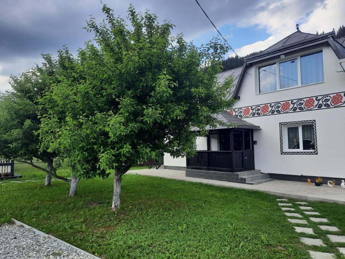 Casa Dumitru Si Elena Ciocanesti Bucovina Exterior foto