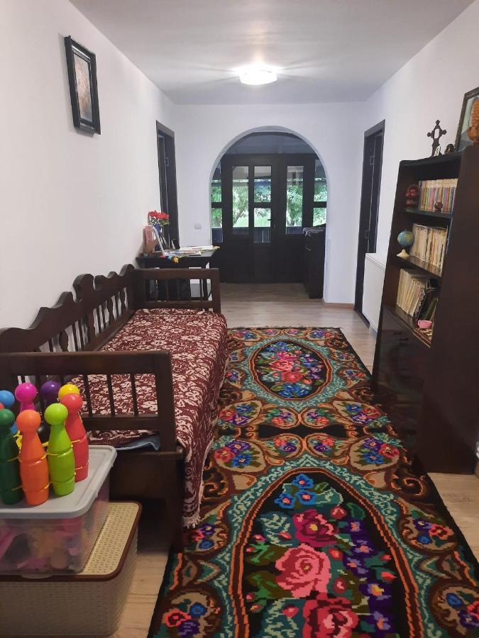 Casa Dumitru Si Elena Ciocanesti Bucovina Exterior foto